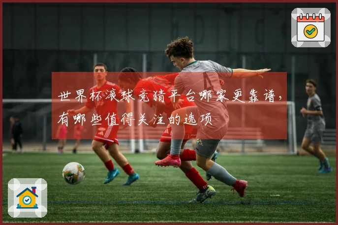世界杯滚球竞猜平台哪家更靠谱，有哪些值得关注的选项