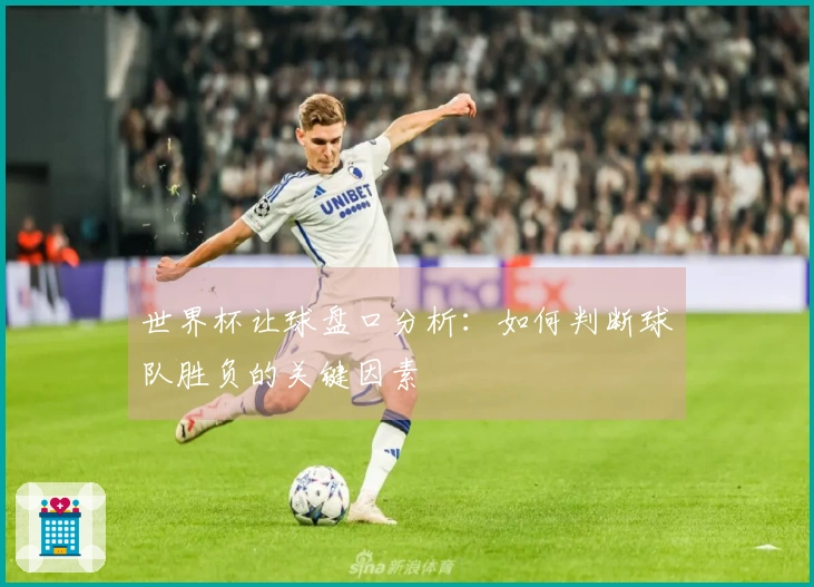 世界杯让球盘口分析：如何判断球队胜负的关键因素