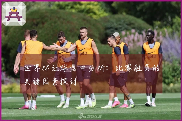 世界杯让球盘口分析：比赛胜负的关键因素探讨
