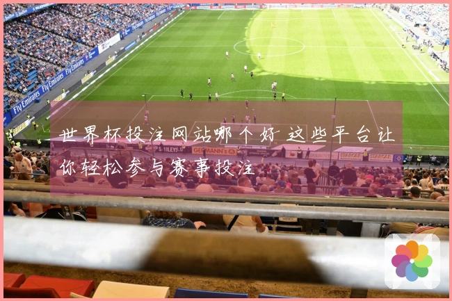 世界杯投注网站哪个好 这些平台让你轻松参与赛事投注