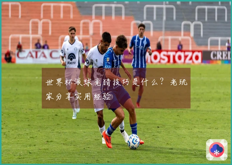世界杯滚球竞猜技巧是什么？老玩家分享实用经验