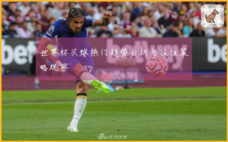 世界杯买球热门趋势分析与投注策略观察