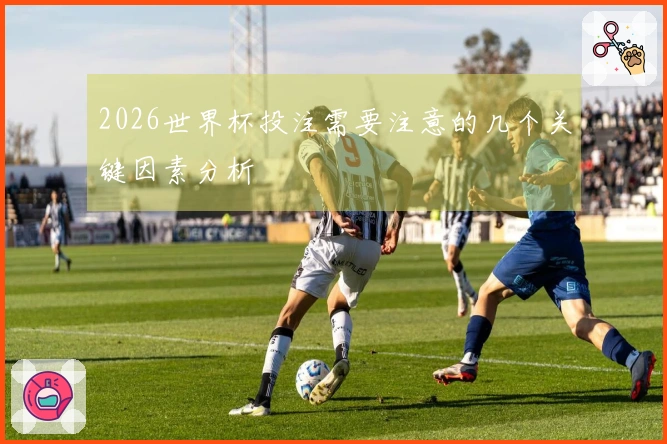 2026世界杯投注需要注意的几个关键因素分析