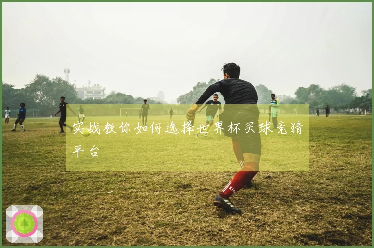 实战教你如何选择世界杯买球竞猜平台