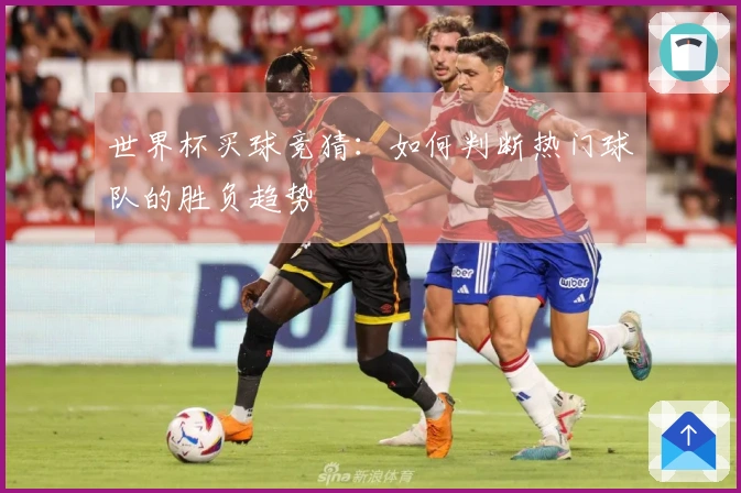 世界杯买球竞猜：如何判断热门球队的胜负趋势