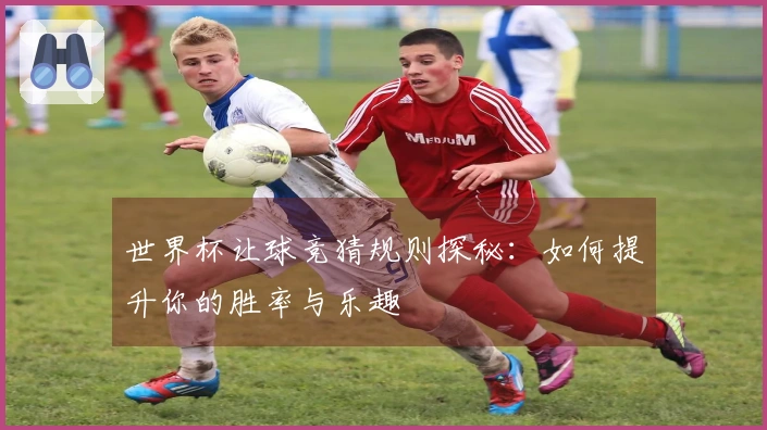 世界杯让球竞猜规则探秘：如何提升你的胜率与乐趣
