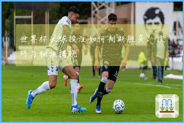 世界杯买球投注如何判断胜负？技巧与秘诀揭晓