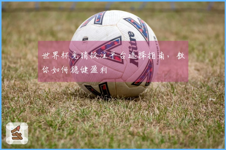 世界杯竞猜投注平台选择指南，教你如何稳健盈利
